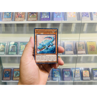 Thẻ bài yugioh! mã wisu-en050 - animadorned archosaur - rare - 1st edition