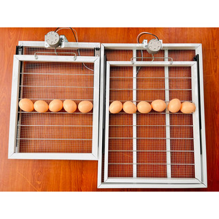 Khay đảo trứng 35, 54,108 trứng