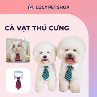 Cà vạt cho thú cưng chó mèo vòng đeo cổ làm đẹp thời trang