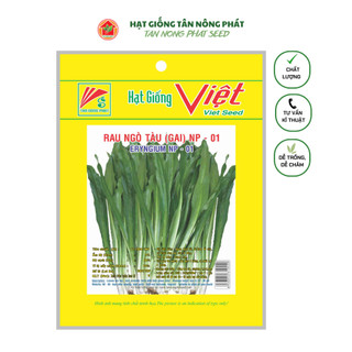 Hạt giống rau ngò gai 2gr