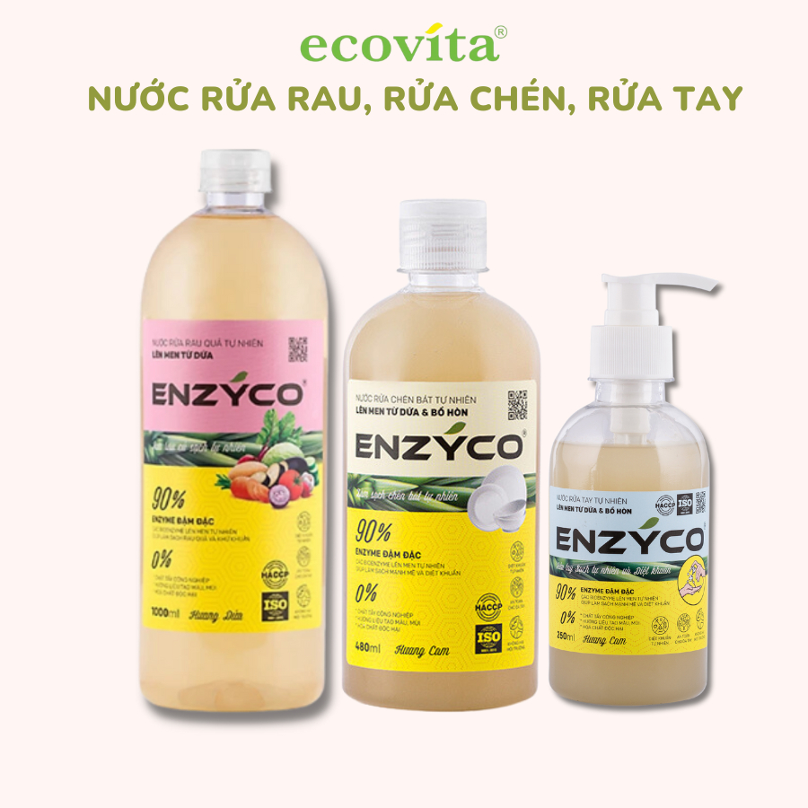 Combo Nước Rửa Bát, Nước Rửa tay và Nước Ngâm Rau Sinh Học 100% Enzyme Từ Dứa Diệt Khuẩn 손 세정제 Dishwashing liquid
