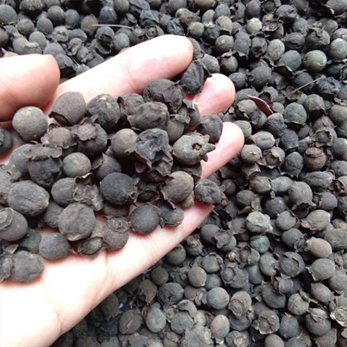 Quả Sim Rừng khô thượng hạng thương hiệu SATOSO gói 1kg