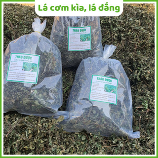 Lá cơm kìa, lá đắng Tây Bắc khô gói 500g, 1kg cải thiện sức khỏe dạ dày, giải rượu - Dược liệu anh Long