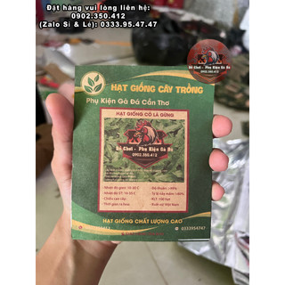 Hạt Giống Cỏ Lá Gừng Cho Gà Ăn