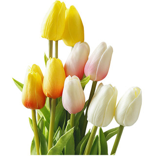 Hoa Tulip Nhiều Màu Trang Trí Nhà, Phụ Kiện Chụp Ảnh