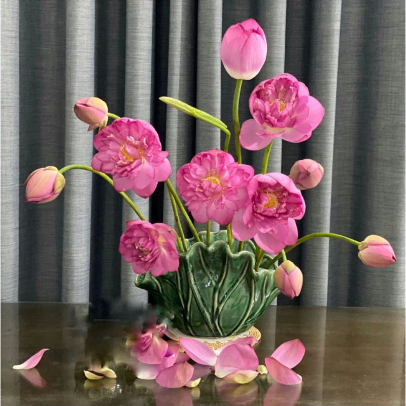 BÌNH LÁ SEN MEN NGỌC - tặng miếng định hình