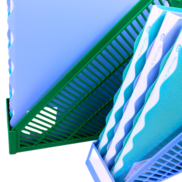 Bìa File Lá A4 Kinary Lưu Trữ Tài liệu 30 Lá 40 Lá Morandi Màu Pastel Siêu Xịn