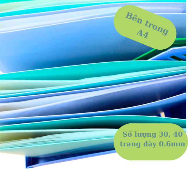 Bìa File Lá A4 Kinary Lưu Trữ Tài liệu 30 Lá 40 Lá Morandi Màu Pastel Siêu Xịn