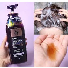 Cặp gội xả Ryo nâu 550ml
