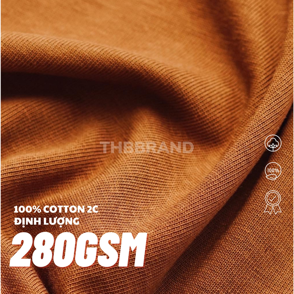 Áo Thun Trơn 100% cotton 2c  250-280GSM form Oversized - chính hãng THBBRAND