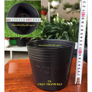 Combo 10 Chậu trồng cây cảnh nhựa HDPE siêu bền nhiều kích cỡ