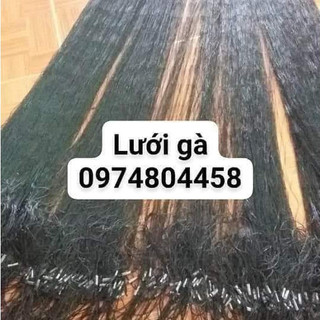Lưới dù đen bẫy gà rừng mắt lưới 9cm