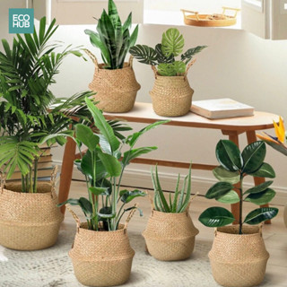 Giỏ Cói Trồng Cây ECOHUB Đựng Đồ Giỏ Cắm Hoa Chậu Decor Trang Trí Vintage Có Quai (20/25/30/35/40cm)