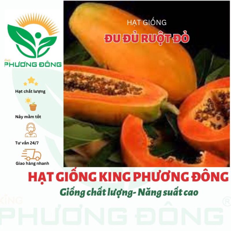 HẠT GIỐNG ĐU ĐỦ RUỘT ĐỎ F1 ( 5Hạt) - MUA 3 TẶNG 1 CÙNG LOẠI