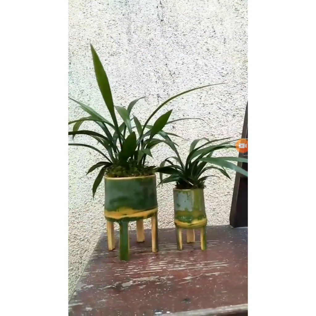 "Chậu tre đứng trồng sen đá, xương rồng, cây tiểu cảnh - Tự nhiên và phong cách | Mua ngay tại Shopee với giá ưu đãi!"