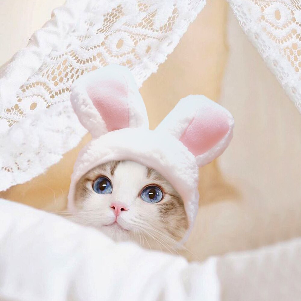 Mũ nón Tai Thỏ Ngộ Nghĩnh tai thỏ Dành Cho Thú Cưng