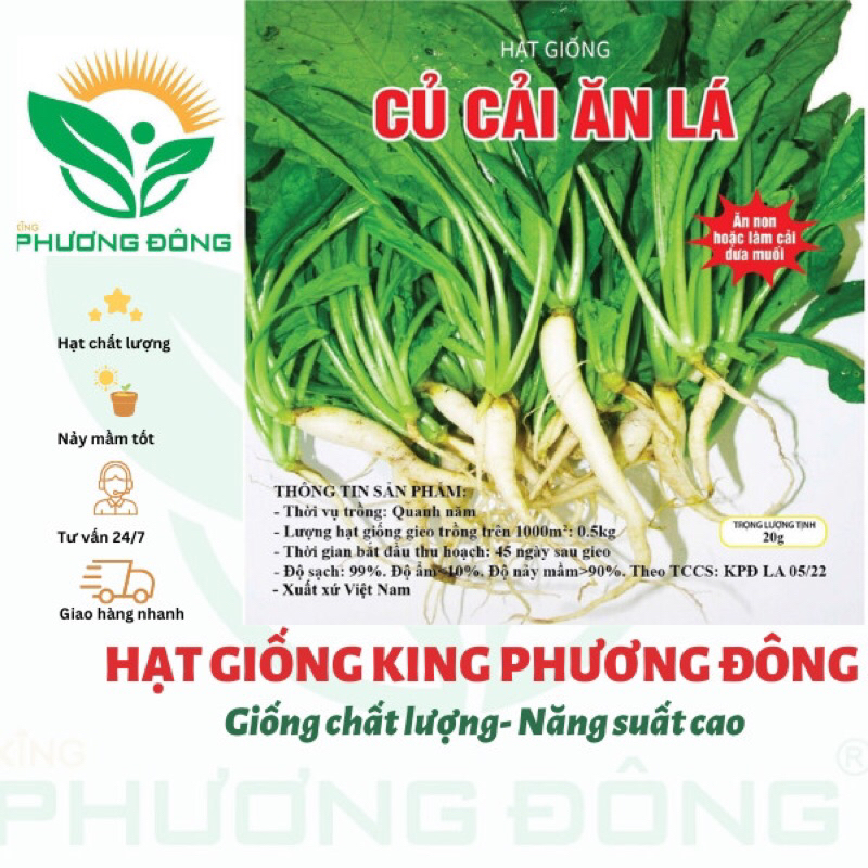 HẠT GIỐNG CỦ CẢI ĂN LÁ 20gr - MUA 3 TẶNG 1 CÙNG LOẠI