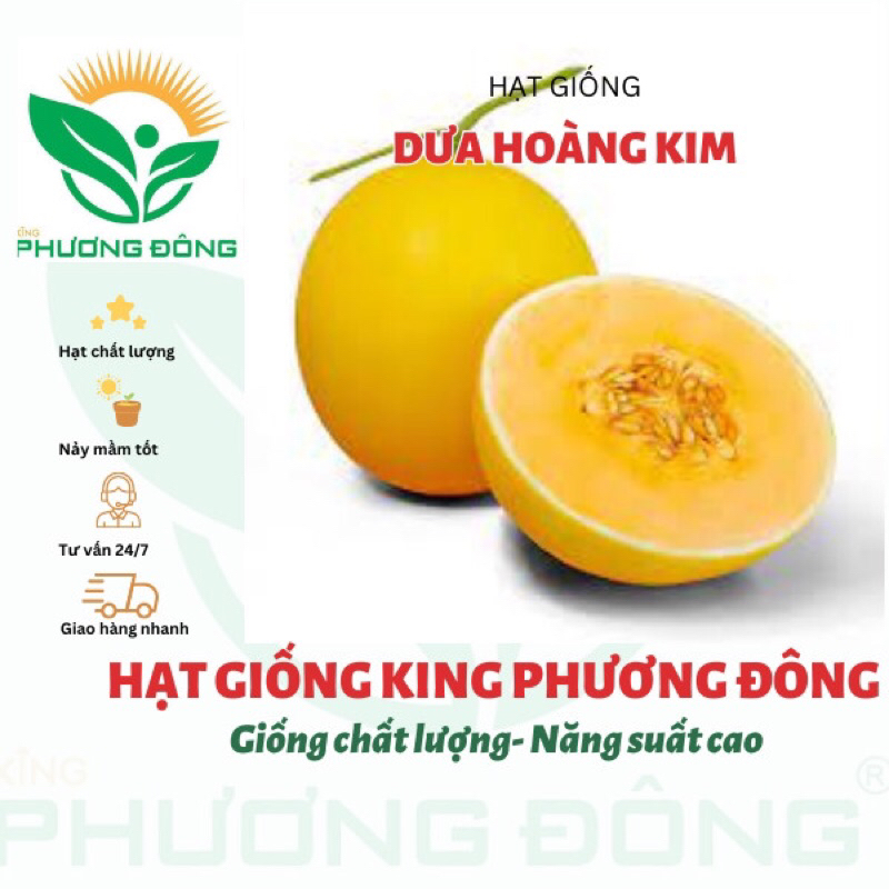 HẠT GIỐNG DƯA HOÀNG KIM F1 0.1gr - MUA 3 TẶNG 1 CÙNG LOẠI