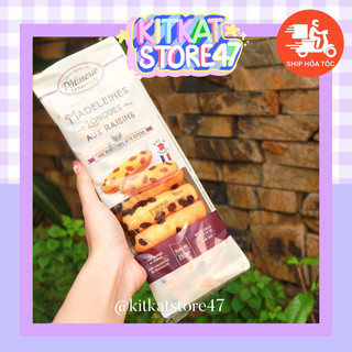 [ DATE MỚI ] BÁNH BÔNG LAN NHO CỦA PHÁP PATISSERIE TRADITION / LESTER