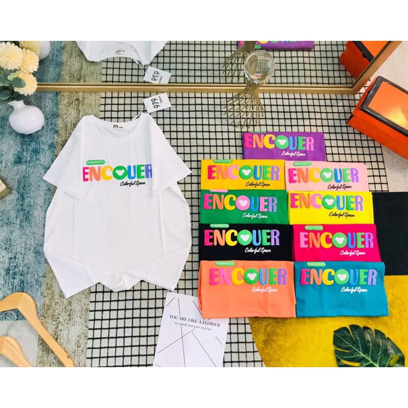 Áo thun thái nữ 979 form VỪA