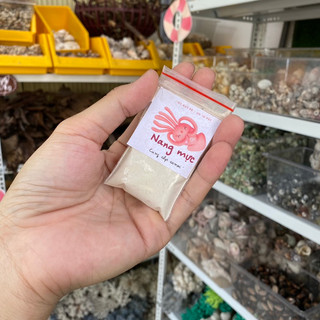 Bột nang mực cung cấp canxi cho ốc rụt rè, ốc mượn hồn, cua ẩn sỉ hermitcrab