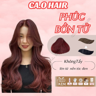 Thuốc Nhuộm Tóc, Phúc Bồn Tử, Màu nhuộm cao cấp tại nhà không tẩy | Ca.ohairshop