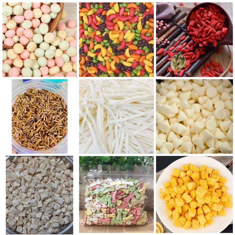 Ăn dặm 10k cho hamster- thức ăn hamster.