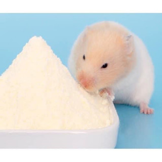 Ăn dặm 10k cho hamster- thức ăn hamster.