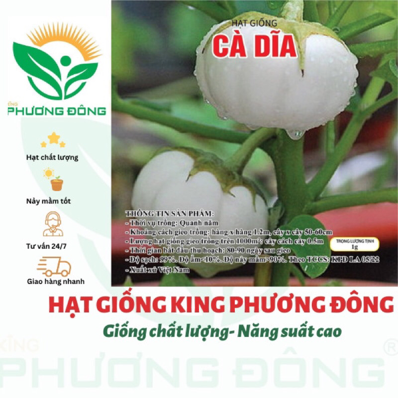 HẠT GIỐNG CÀ DĨA 1GR - MUA 3 TẶNG 1 CÙNG LOẠI - HẠT GIỐNG KING PHƯƠNG ĐÔNG