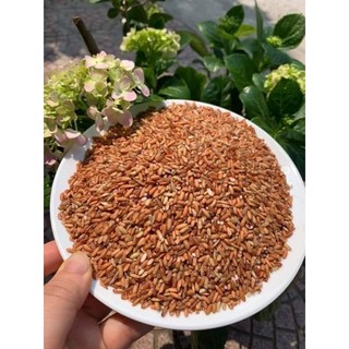 Gạo lứt đỏ dẻo điện biên