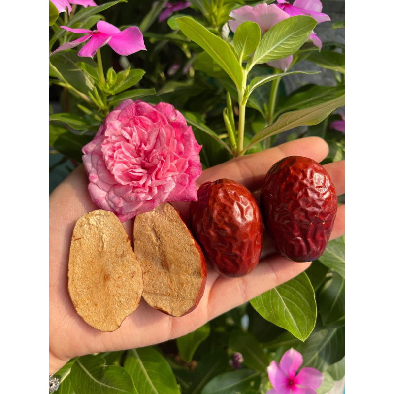 (VIP) Táo đỏ Hoà Điền - Đại Hồng Táo thượng hạng (9-10q/lạng) loại 500gr/túi