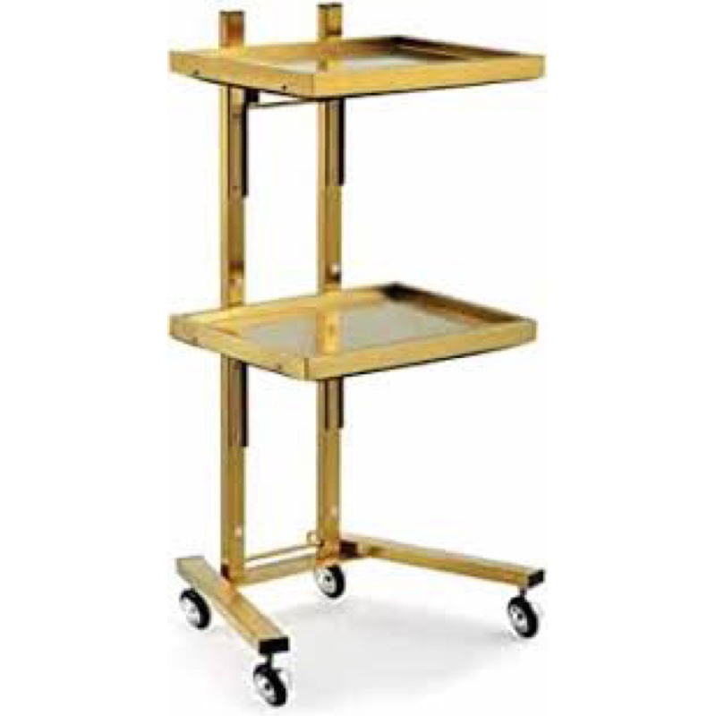 Xe Đẩy Inox Mạ Vàng Spa - Gấp Gọn - Hàng Cao Cấp