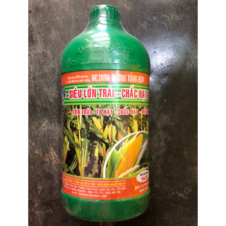 Siêu lớn trái - Chắc hạt bắp AE