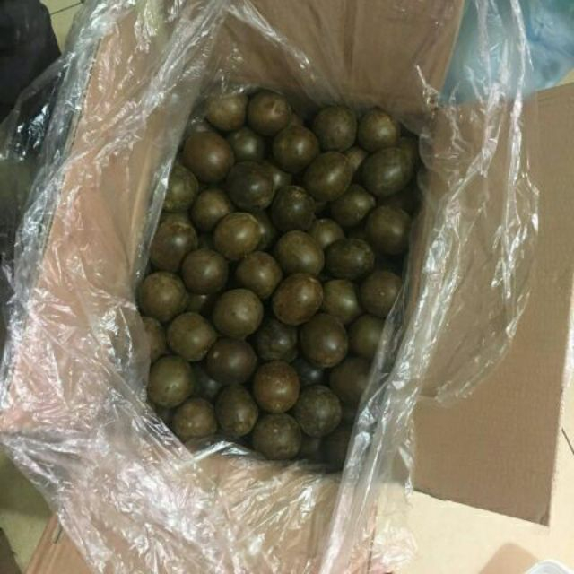 10 QUẢ LA HÁN GIÀ - THƠM NGON - CHUẨN HÀ GIANG