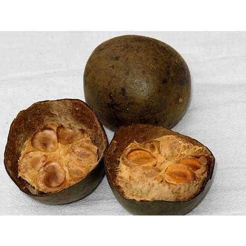 10 QUẢ LA HÁN GIÀ - THƠM NGON - CHUẨN HÀ GIANG