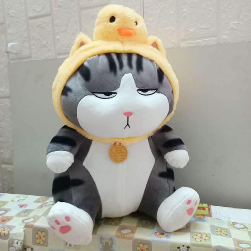 ❤️ gấu bông,mèo hoàng thượng coslay. ❤️