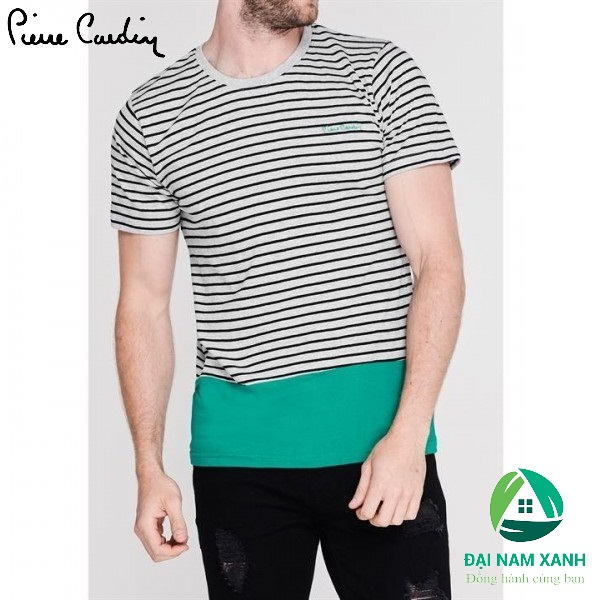 Áo thun nam cổ tròn Pierre Cardin Tees - Hàng size châu Âu