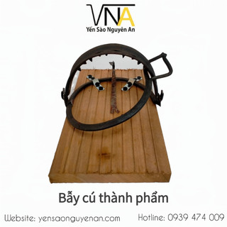 Combo 10 cái bẫy kẹp chim cú