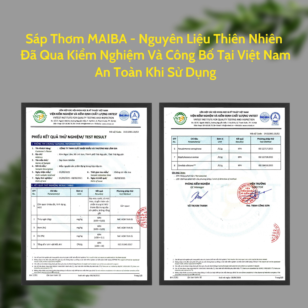 Sáp Thơm Maiba Làm Quà Tặng Giáng Sinh Hình Cây Thông Sang Trọng Quý Phái