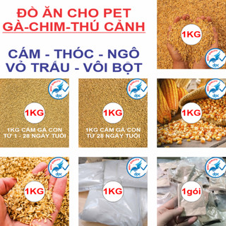 Đồ ăn hỗn hợp cho gia cầm |chim cảnh | gà chọi | gà cảnh … Vôi bột, trị mạt gà