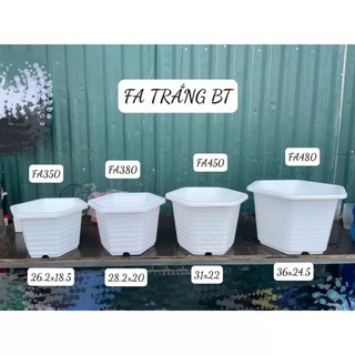 Chậu nhựa trồng cây lục giác fa350, fa380, fa450, fa480 mầu trắng