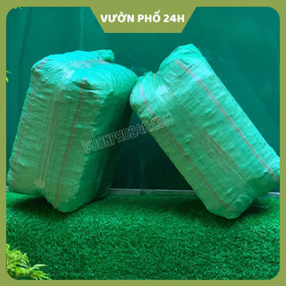 Kiện dừa cục 1-2cm cho kiểng lá, phong lan, cây cảnh - viên đều đẹp, sạch khuẩn bổ dung dinh dưỡng cho cây