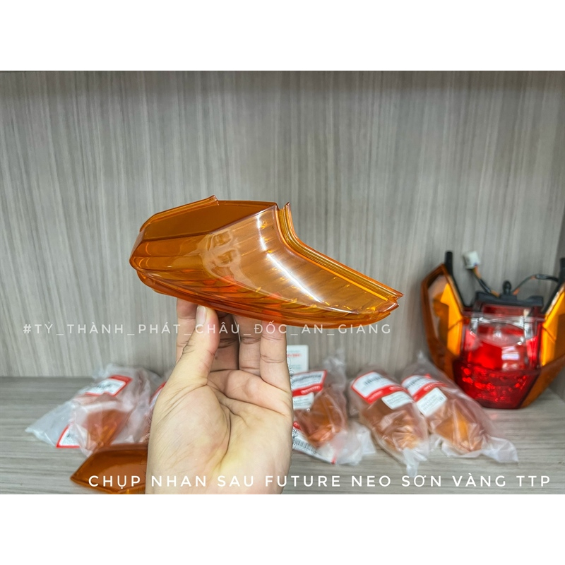 Chụp Nhan Sau Neo, Fu X zin Cam