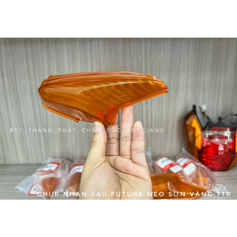 Chụp Nhan Sau Neo, Fu X zin Cam