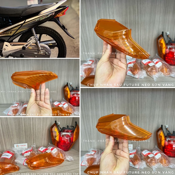 Chụp Nhan Sau Neo, Fu X zin Cam