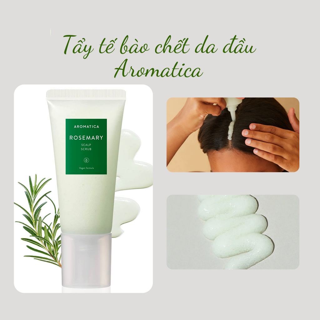 Muối Tẩy Tế Bào Chết Da Đầu Hương Thảo AROMATICA Rosemary Sclap Scrub 165g