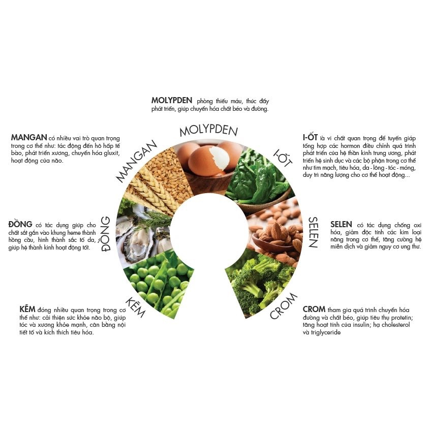 Viên Uống Vitamin Tổng Hợp Multvid Daglig+ Cung Cấp Đủ 12 loại Vitamin, 7 khoáng chất thiết yếu giúp tăng sức đề kháng