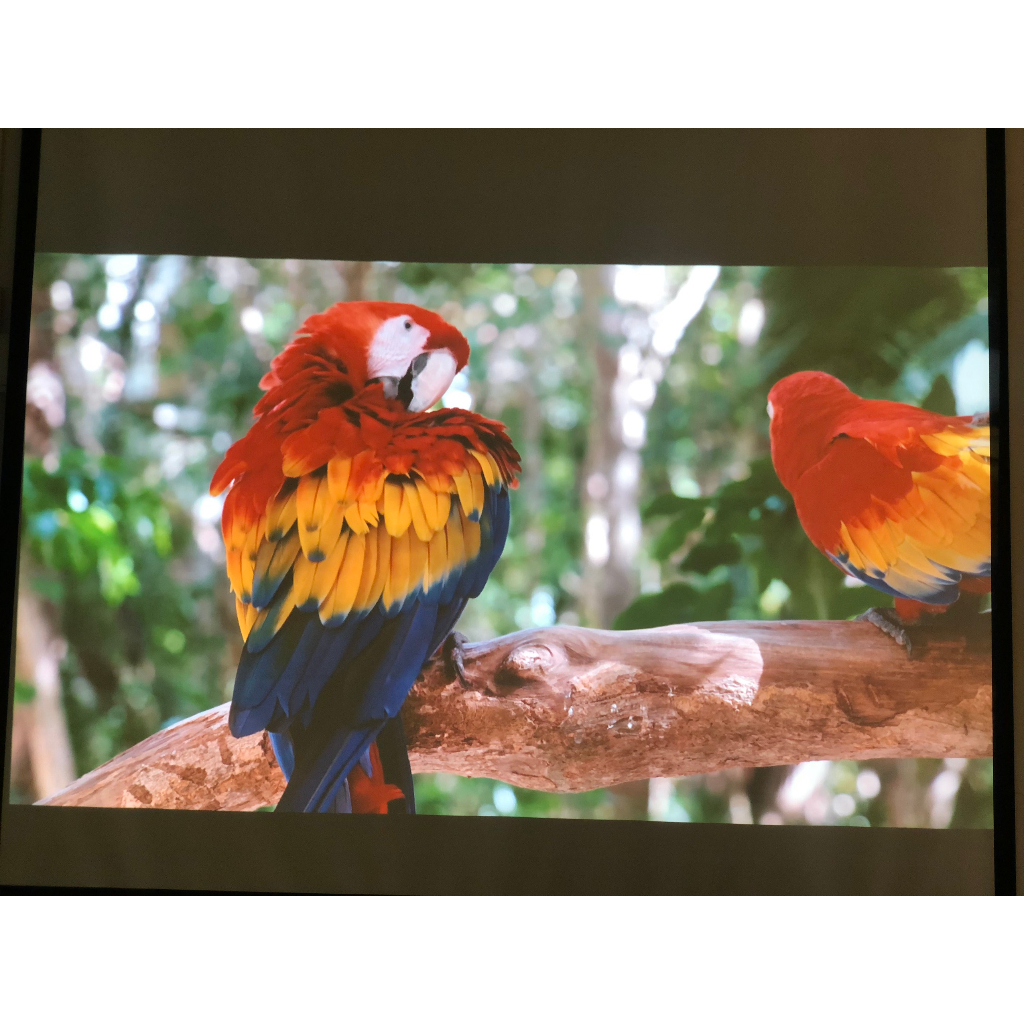 Máy Chiếu Cũ Optoma EW635. Máy Hình Ảnh Đẹp, Sắc Nét, Bảo Hành 3 Tháng Sản Phẩm