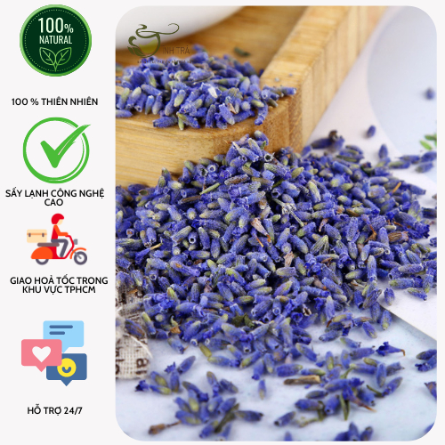trà hoa lavender_tĩnh trà
