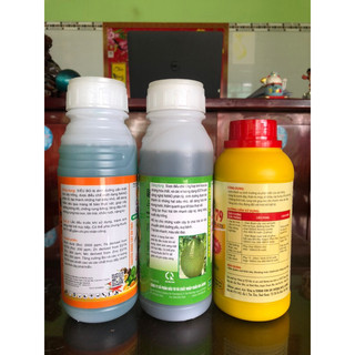 [combo] Siêu Bo, nuôi mít nhỏ, combi 79